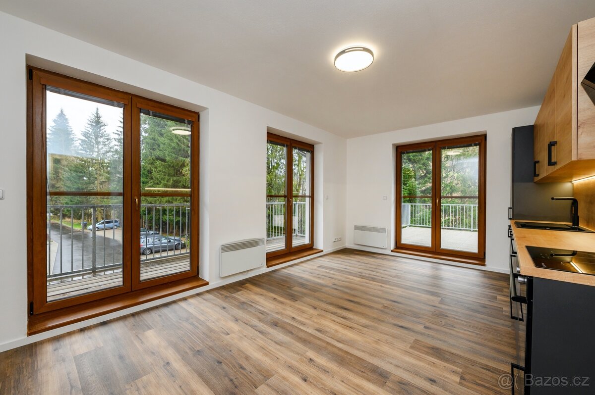 Prodej, Byty 2+kk, 115 m² - Železná Ruda, ev.č. 00036 - 4