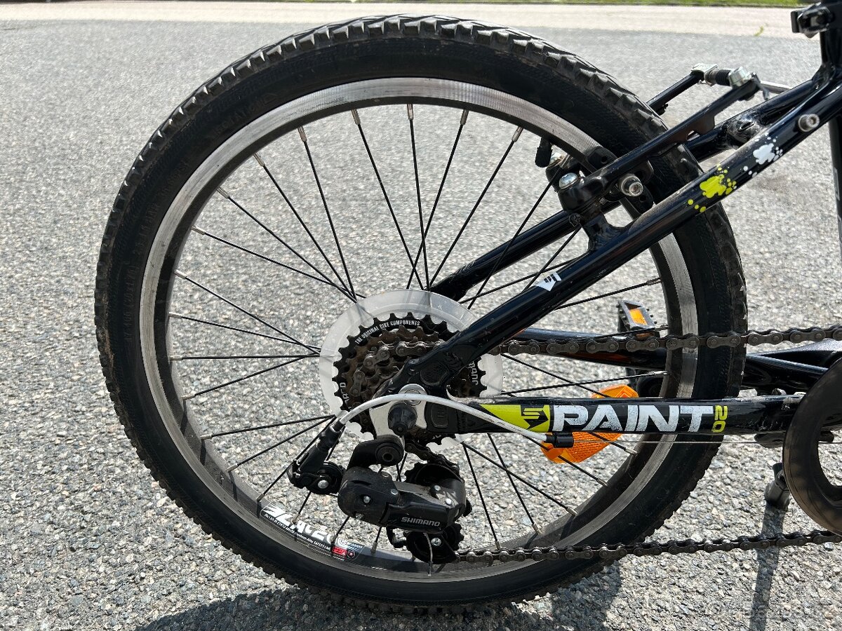 Superior Paint 20 - 4