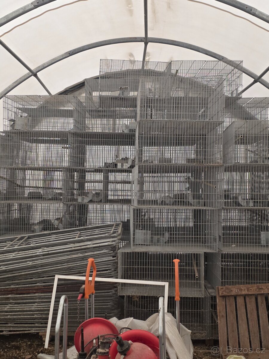 Kotce pro kraliky - 4