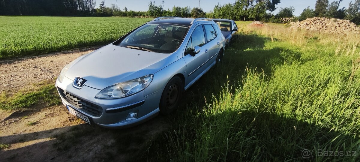 Peugeot 407SW - 4