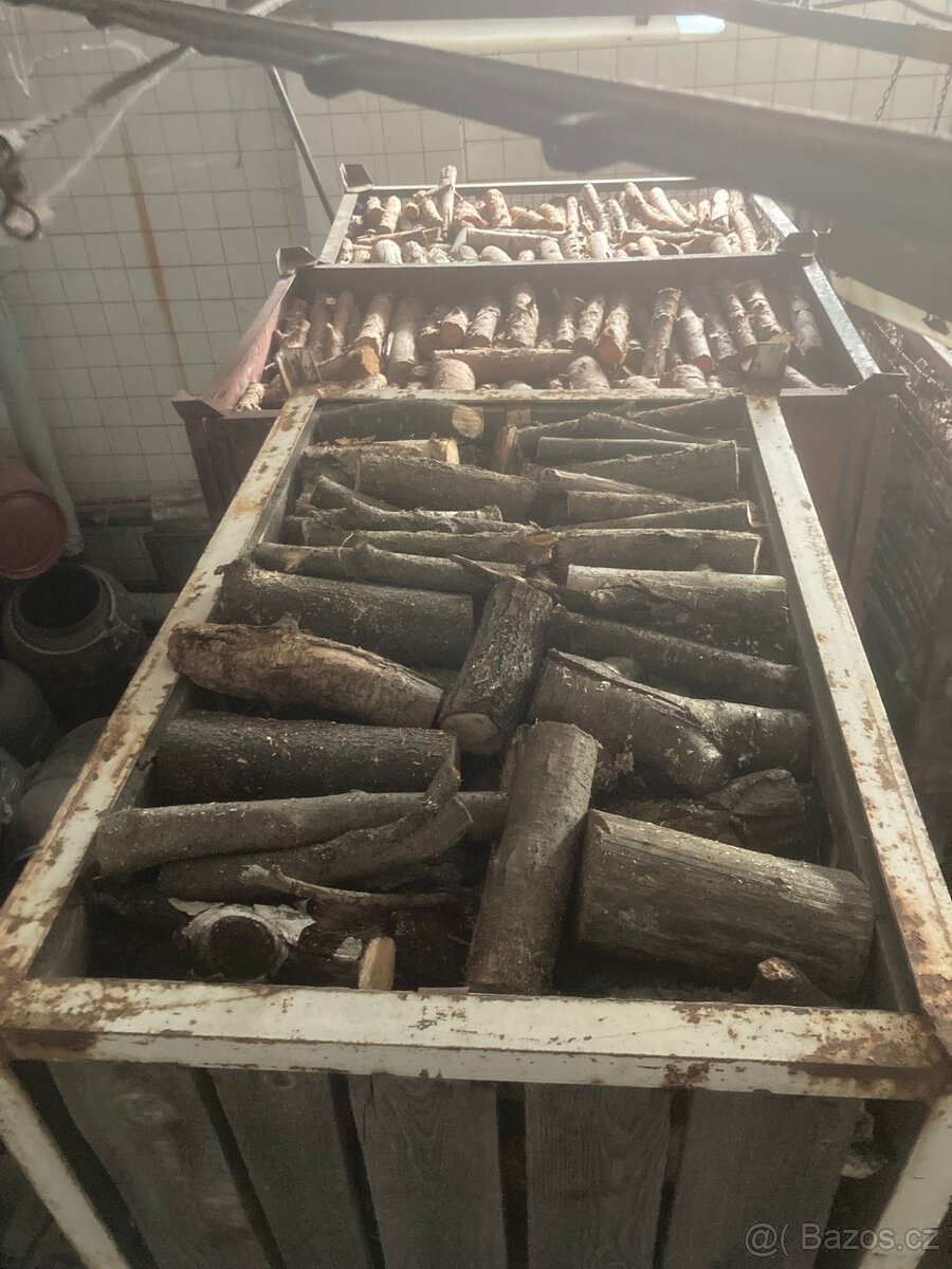 Palivové dřevo - 4