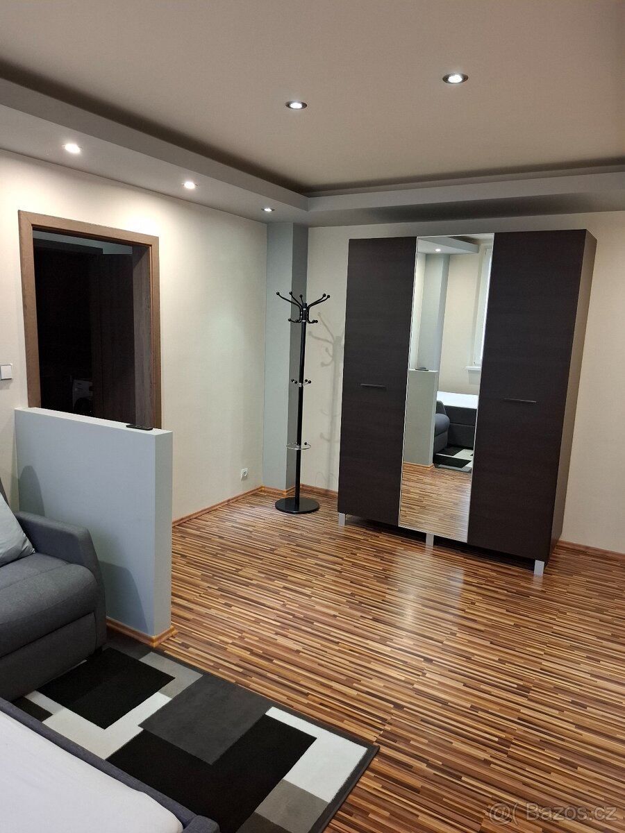 Pronájem bytu 1+1 Ústí nad Orlicí - 4