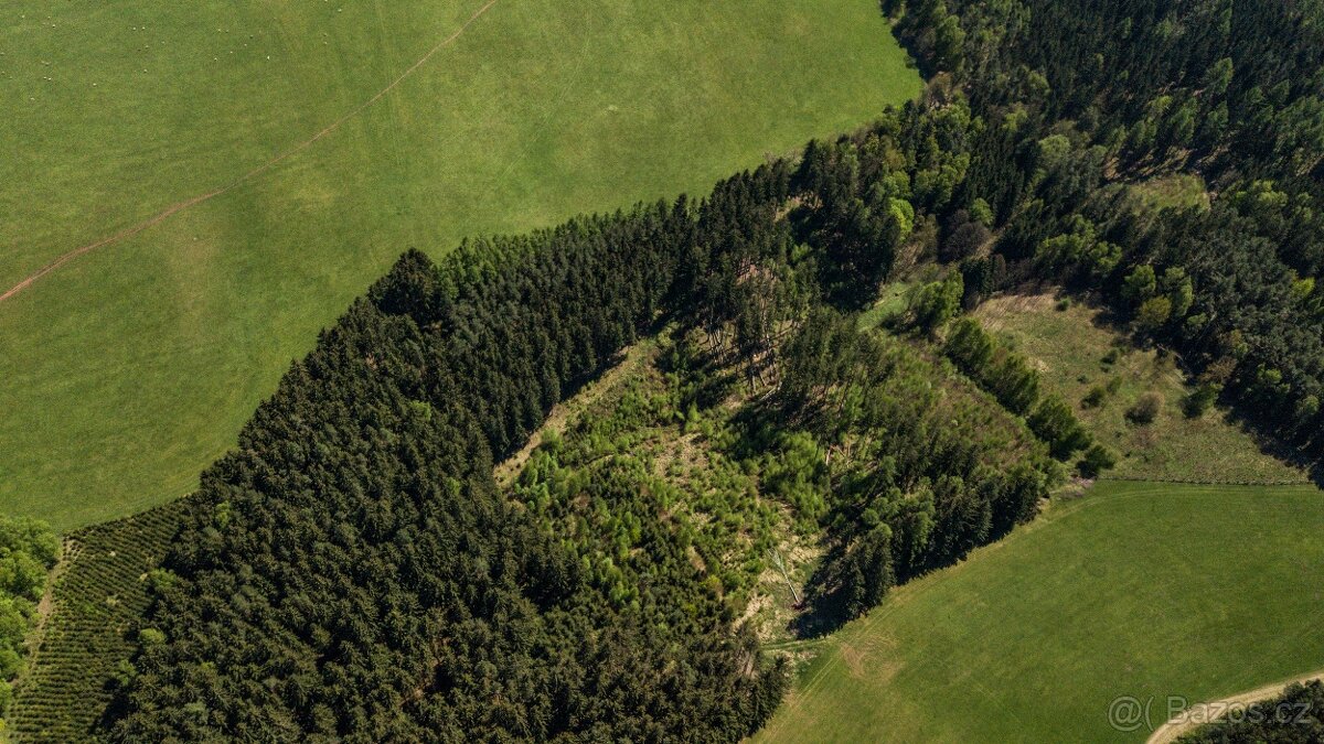 Prodej lesa 20336 m² – Heřmánkovice - 4