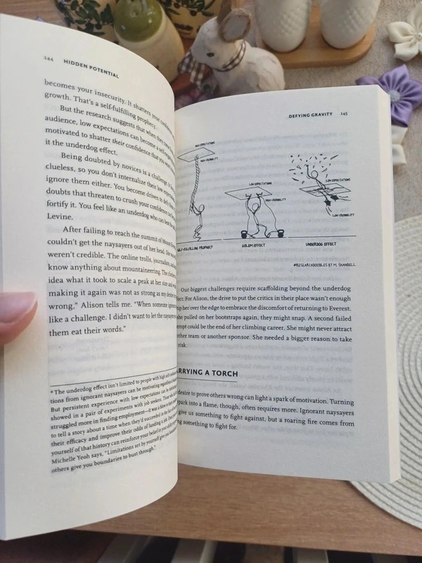 Hidden Potential – Adam Grant, anglicky - 4