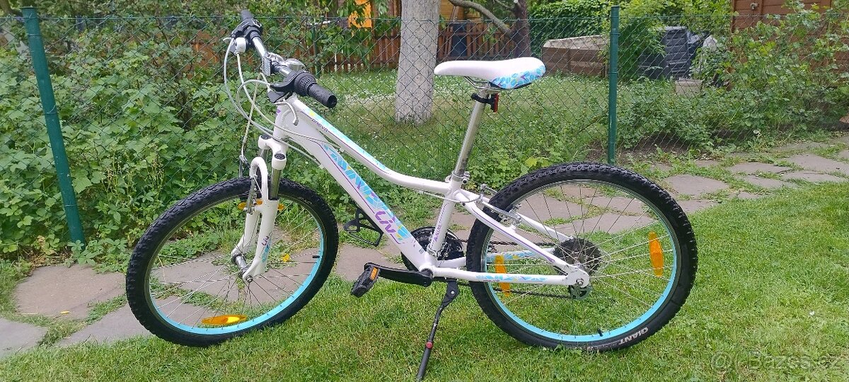 Holčičí horské kolo Giant rám vel. 24 - 4