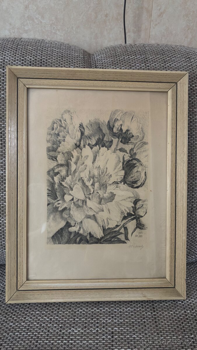 Obraz Max Švabinský Pivoňky - 4