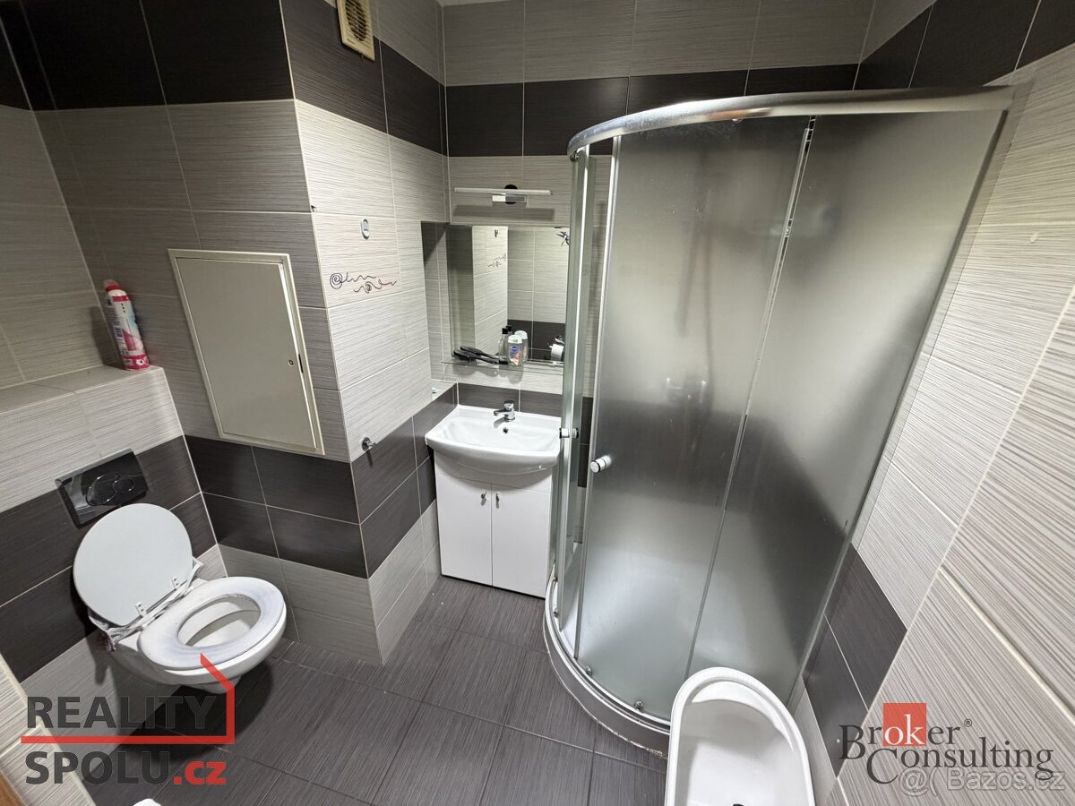 Prodej, byty/3+1, 61 m2, Teplická 601, Teplické Předměstí, 4 - 4