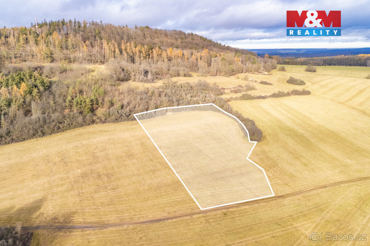 Prodej louky, 13853 m², Kublov - 4