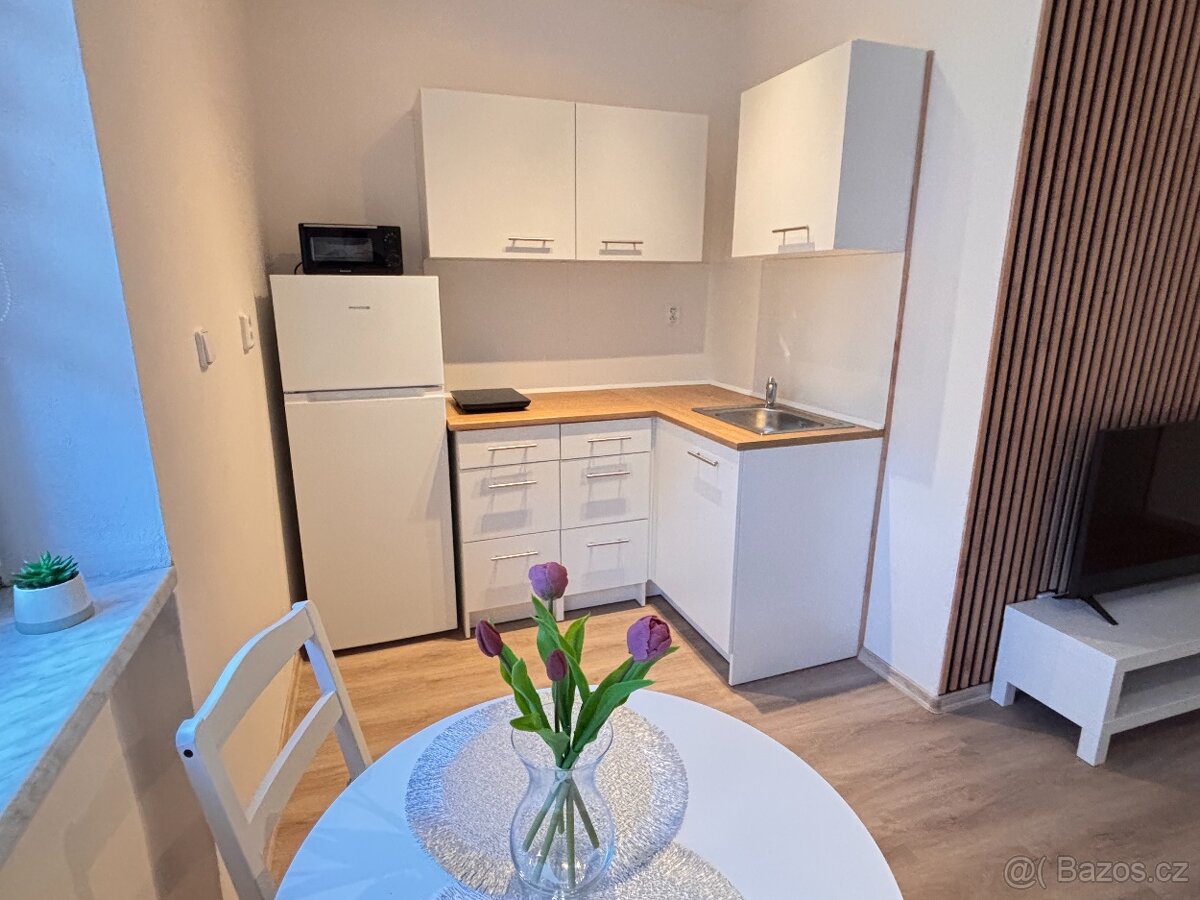 Pronájem bytu Tachov - 4