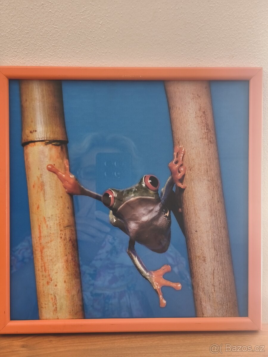 Rámečky na zeď - 4