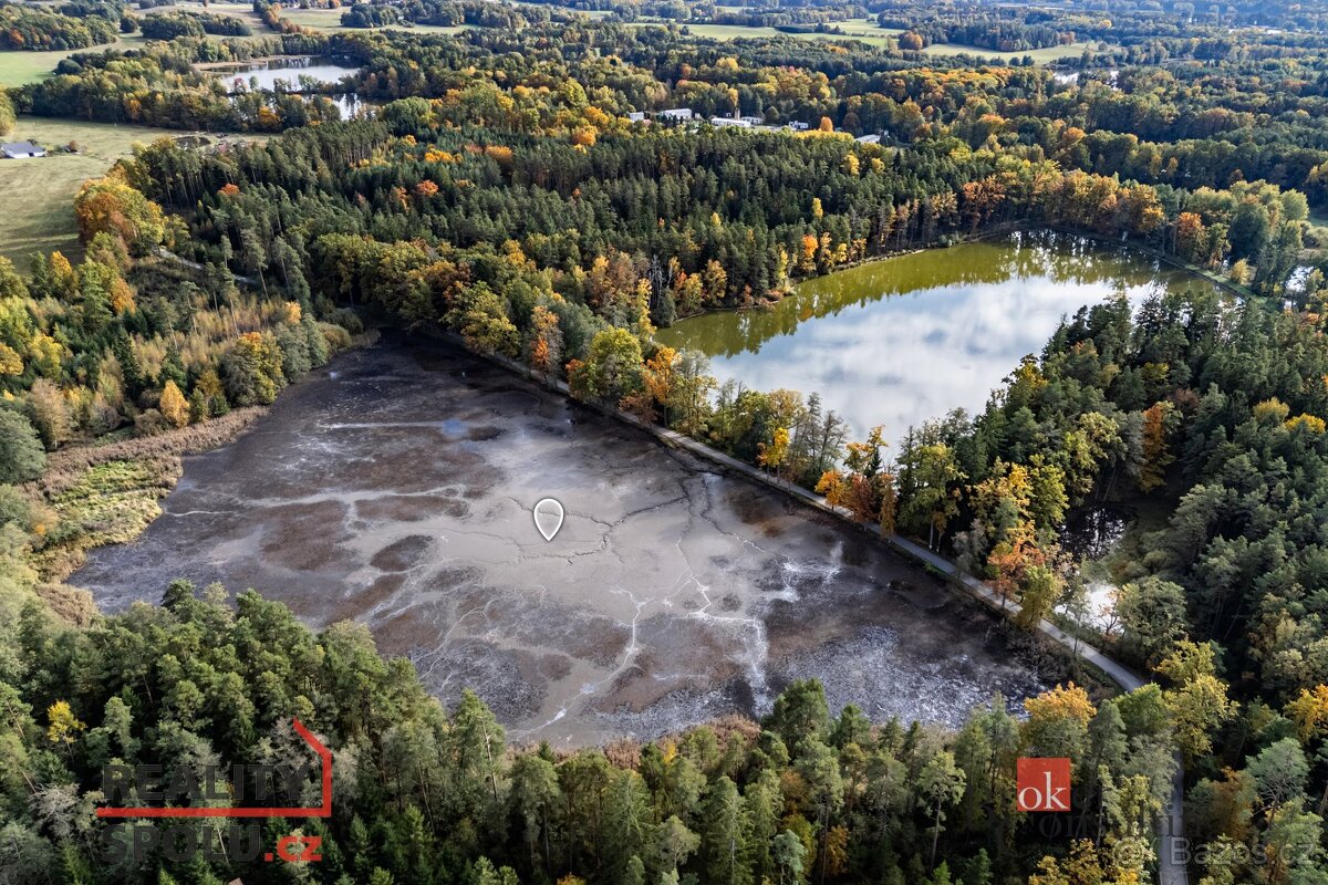 Prodej, pozemky/rybník, 64790 m2, Žíteč, Chlum u Třeboně, Ji - 4