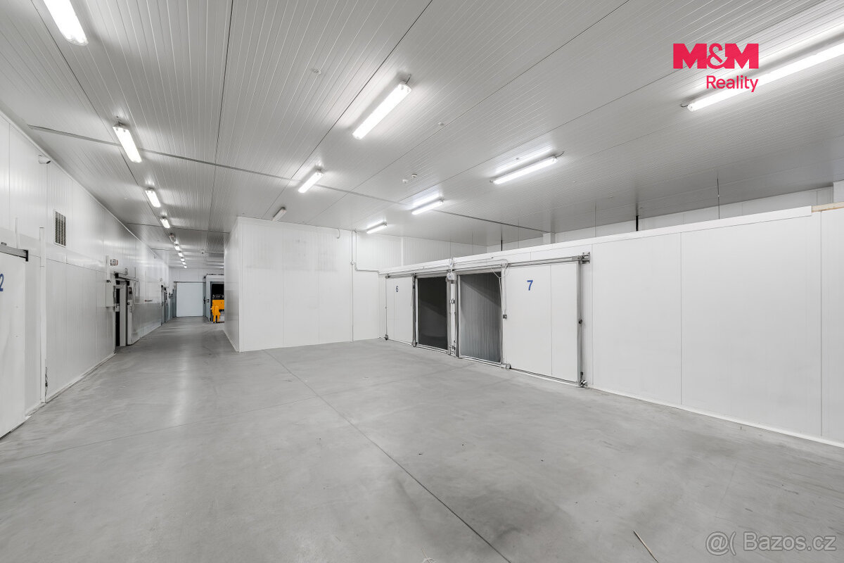 Pronájem obchodního objektu, 1300 m², Baška - 4