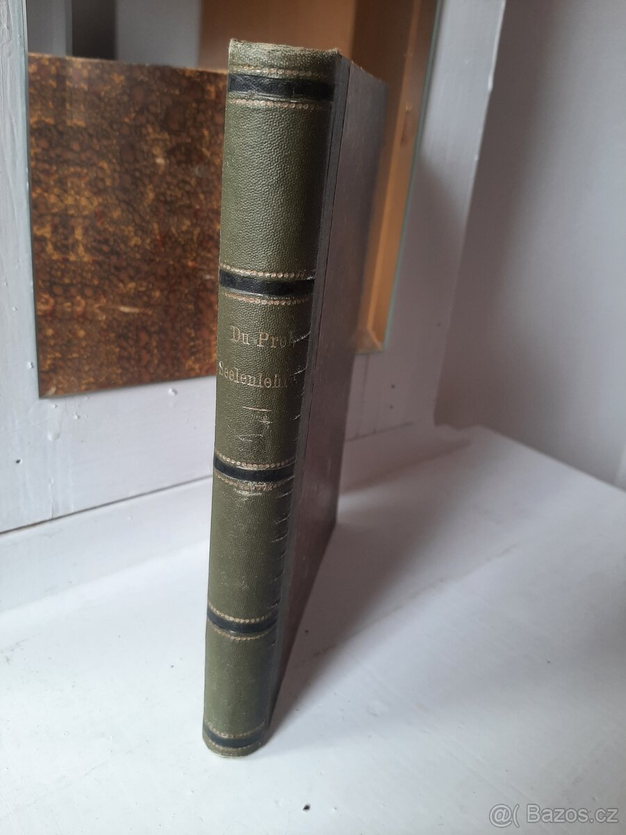 Monistická nauka duše, Německý originál - 4