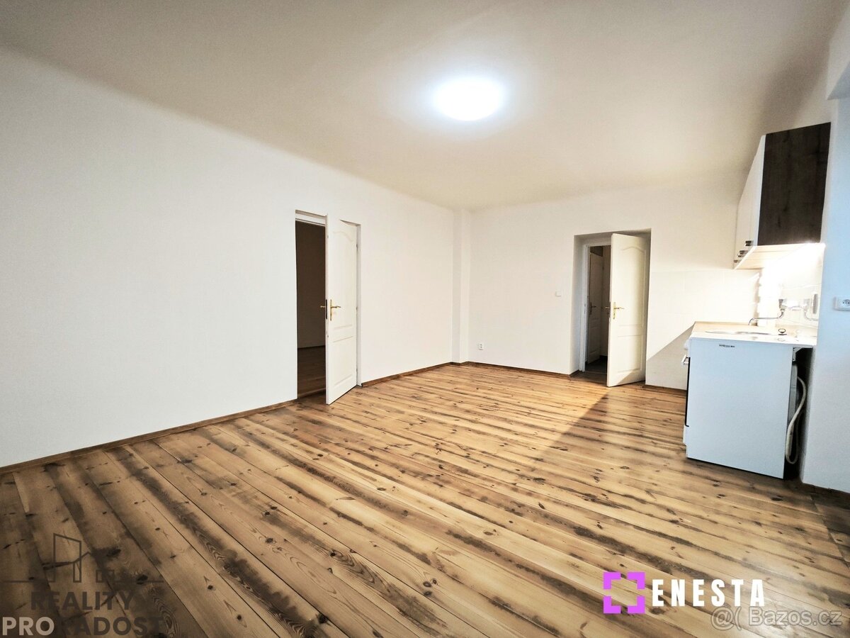 Pronájem bytu 2+kk 45 m², Tursko - 4