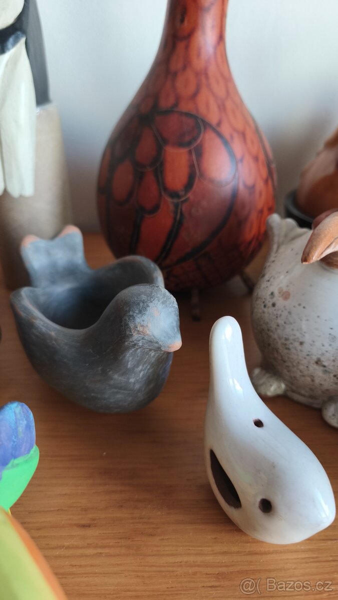 sbírka ptáčků - 4