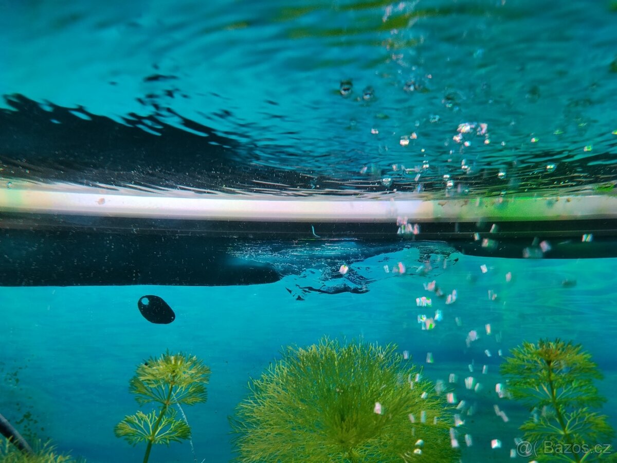 Prodám akvárium s příslušenstvím - 4