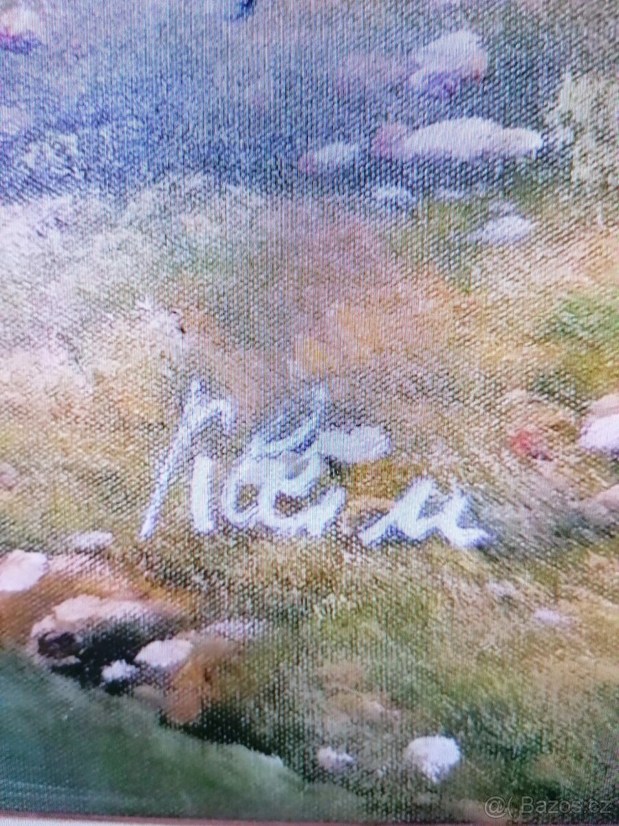 Obraz v rámu 140x79 - 4