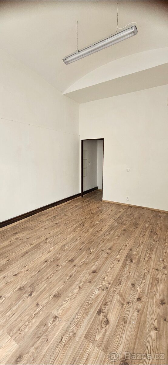 Pronájem nebytových prostor - 4