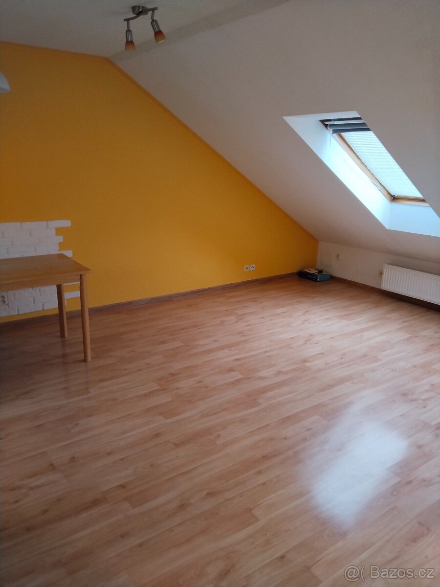 Pronájem 2kk - 4