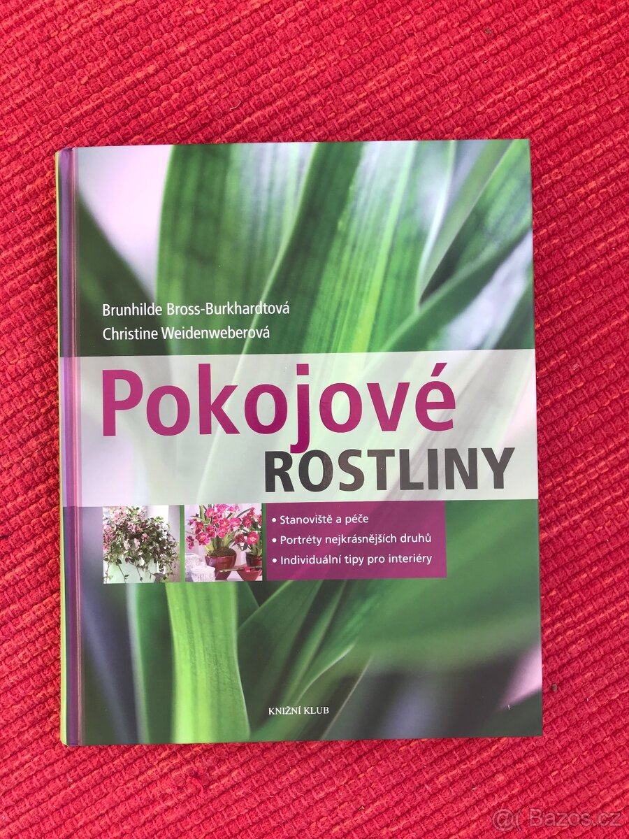 Gutsy Leadership,Monet, Pokojové rostliny - 4