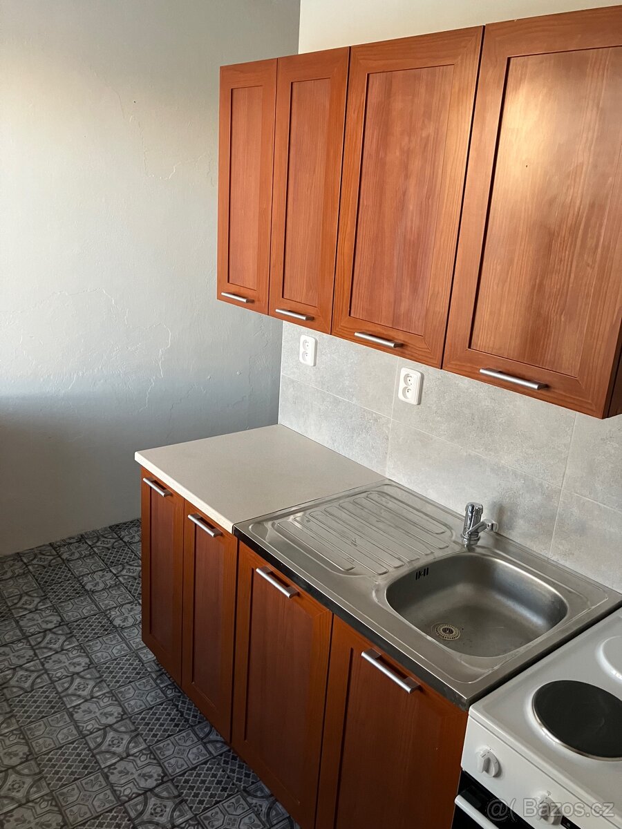 Pronajem 1+1 Vyskovicka - 4