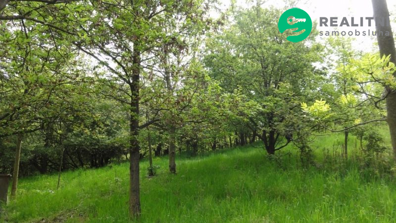 Pozemek 4474m2 pro rodinné sídlo v Ústí nad Labem - 4