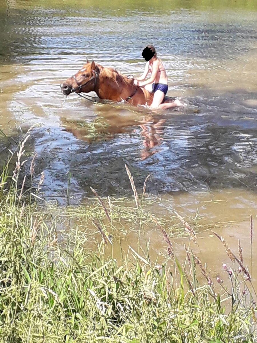 Valach pro začátečníky - 4