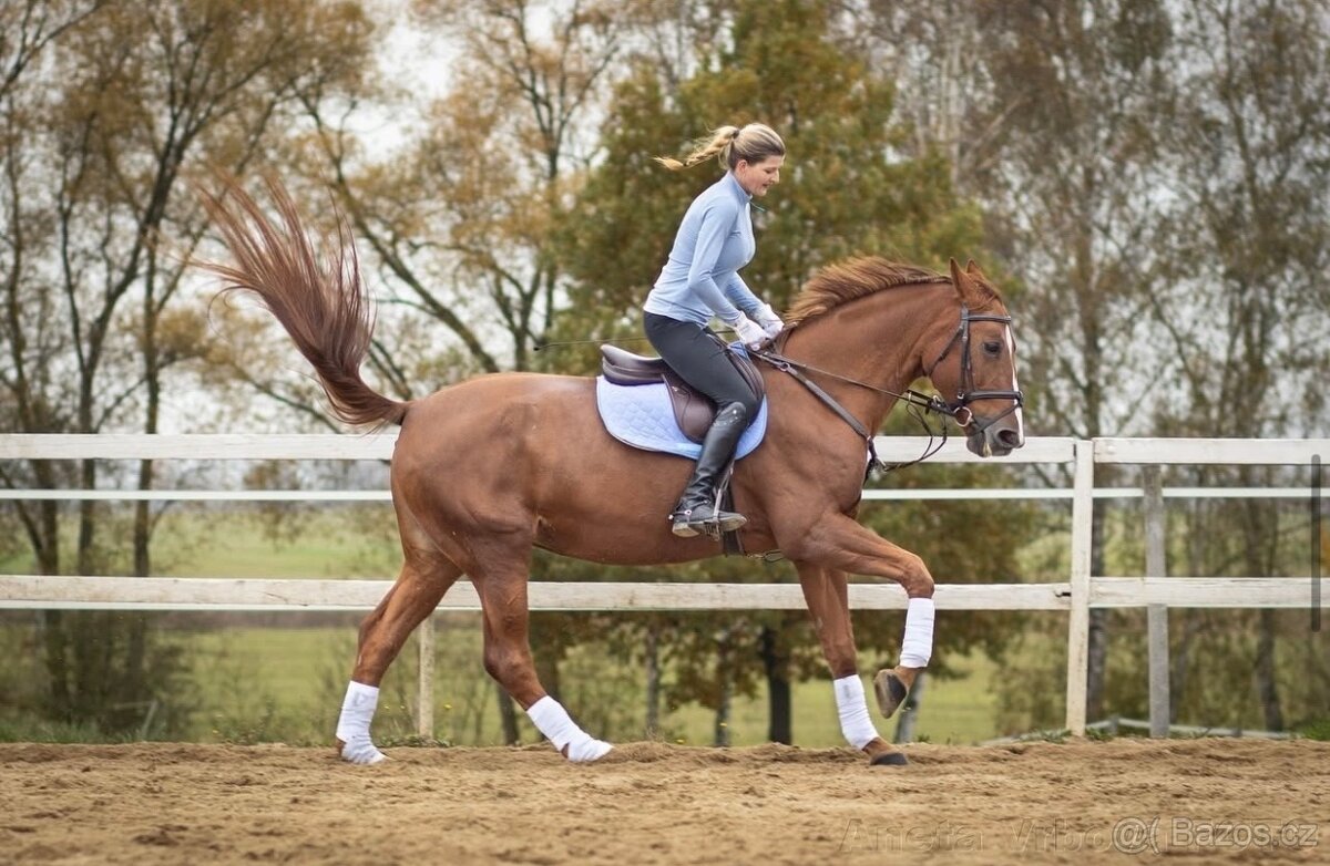 11 letá klisna na rekreaci - 4