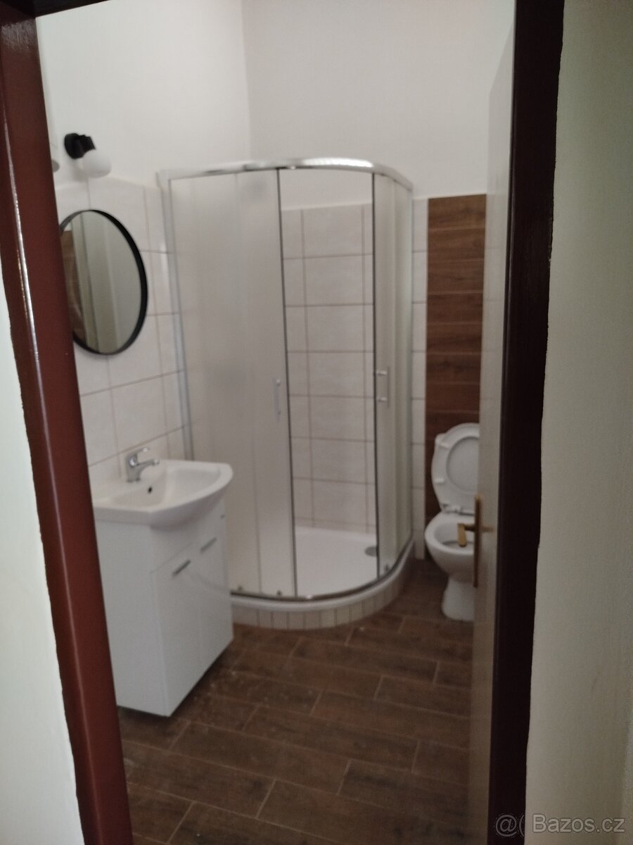 Pronájem bytu 2+kk - 4