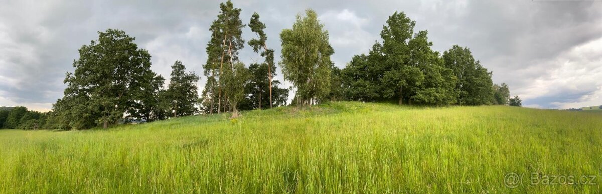 Prodej lesního pozemku - 4