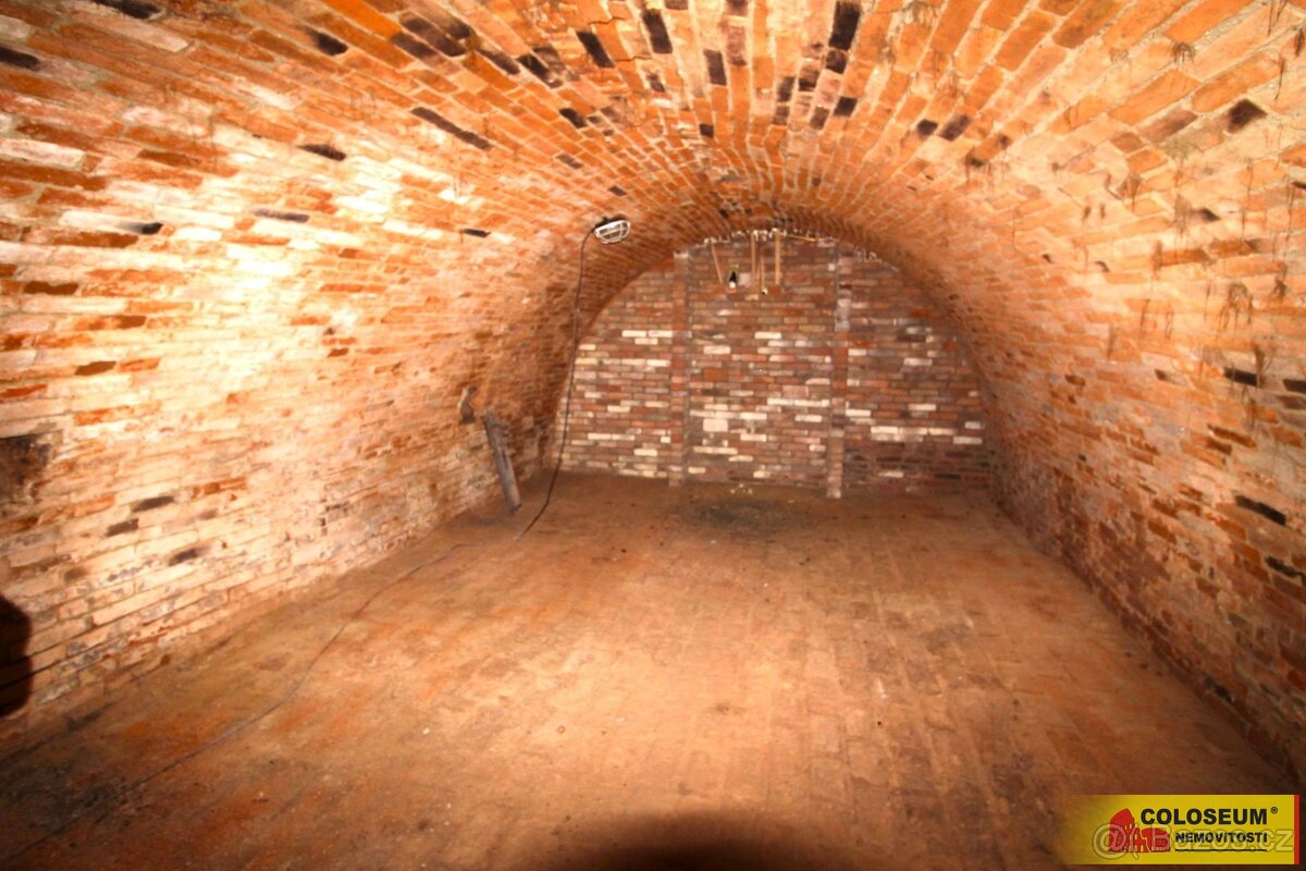 Hrušovany nad Jevišovkou, vinný sklep, lisovna, pozemek 201m - 4