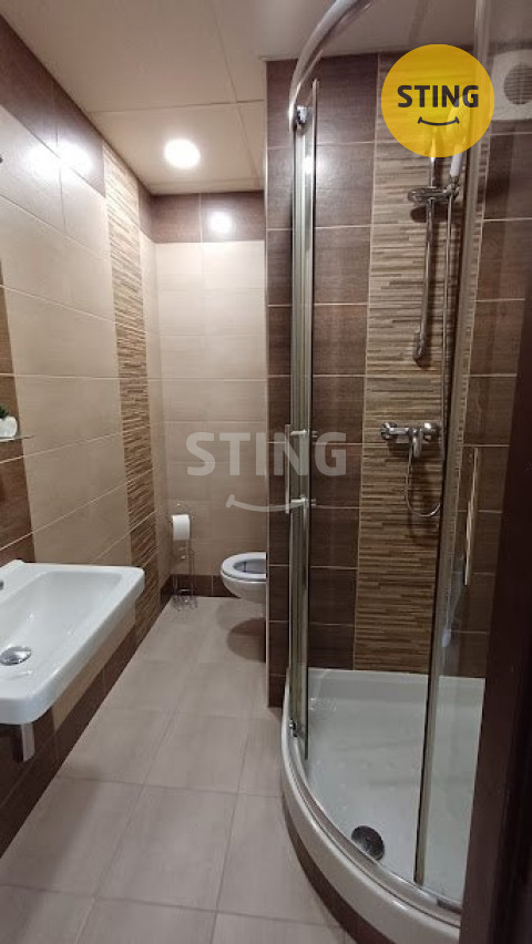 Prodej dr. bytu 1+kk, 33m2, Orlová - Lutyně, 133974 - 4