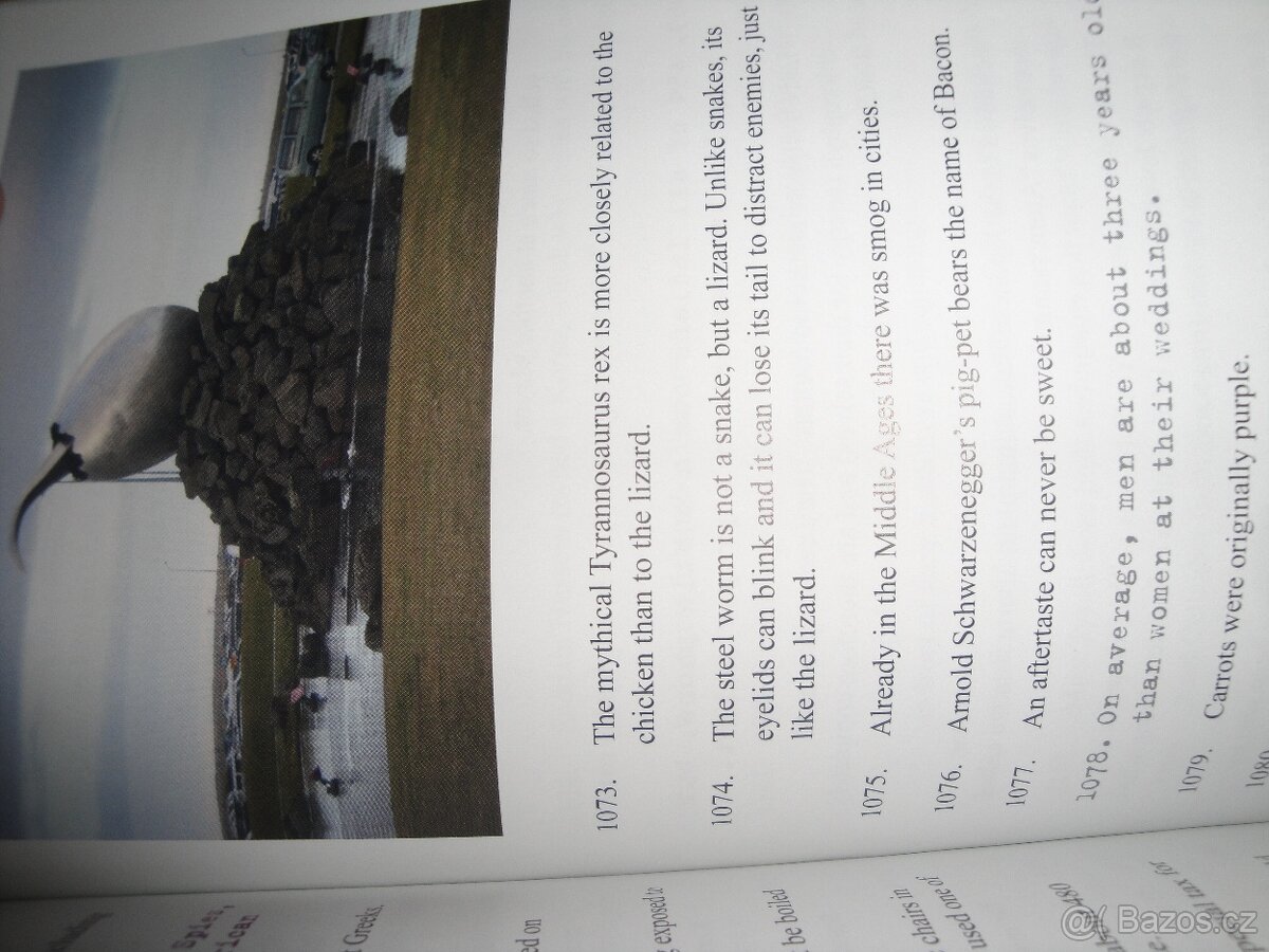 Němčina, Angličtina - 4