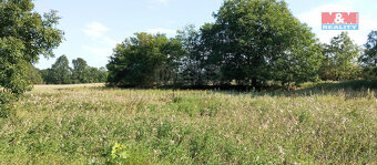 Prodej pozemku k bydlení, 11412 m², Řisuty - 4