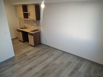 Pronájem byt 1+kk, 21m2, OSTROV - 4