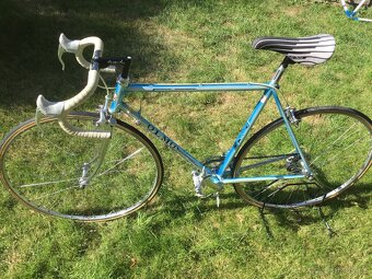 Olmo- Campagnolo Athena - 4