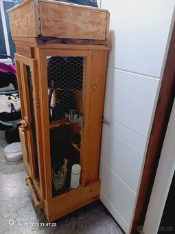 Činčila pár i s klecí a krmením - 4