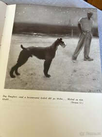 kniha Jack London, Michal bratr Jerryho - 4