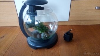 Kulaté akvárium 6,8 litru - 4