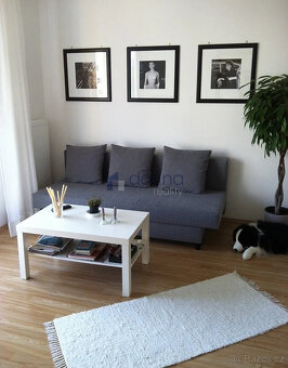 Pronájem bytu 1+1/T 50m², ul. Práčská, Praha 10 - Záběhlice, - 4
