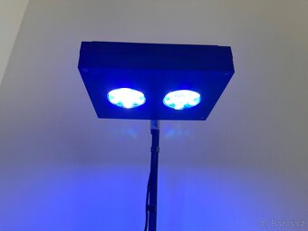 Mořské akvárium 80L komplet . - 4