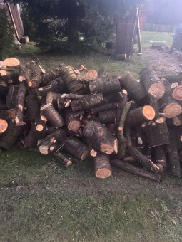 Palivové dřevo - 4