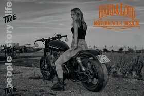 Harley - 4