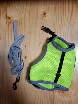 Prodám králíčka a všechno s ním - 4