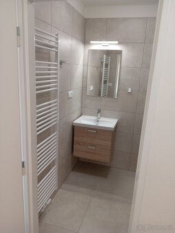 Pronájem bytu v Kyjově 2+1 55m2 v přízemí - 4