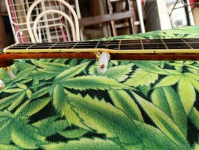 PĚTISTRUNNÉ BANJO - 4