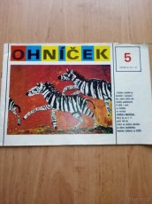 Mateřídouška, Ohnicek - 4