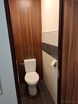 Pronájem bytu 2+1 Tišnov - 4