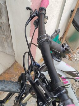 Specialized 29 - 4