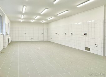 Výrobní a kancelářské prostory, showroom, k pronájmu, areál - 4